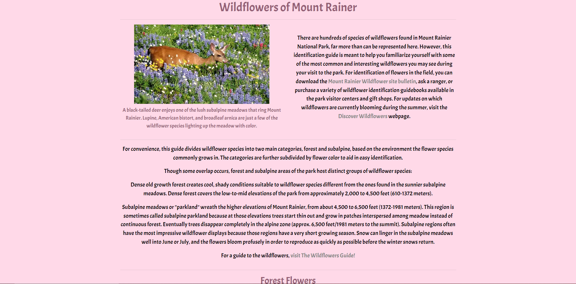 Wildflowers Website