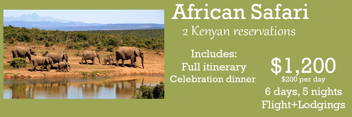 African Safari Tour Package