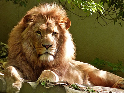 Placeholder image